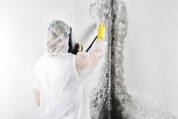  Dexter, OR Water damage restoration Pros